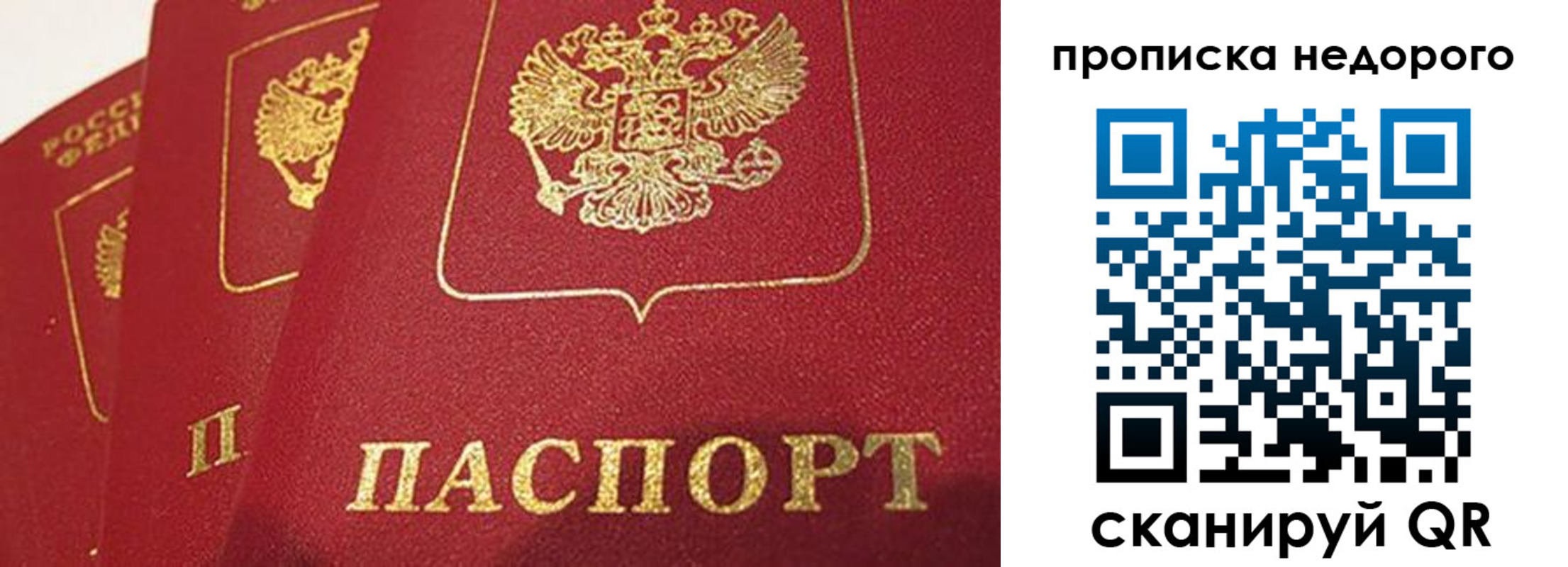 регистрация для школы в Курской области